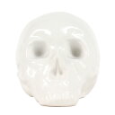 SELETTI セレッティ アレッサンドロ・ザンベリ デザイン スカル オブジェ 磁器製 Memorabilia My Skull ホワイト 白 セラミック インテリア 雑貨