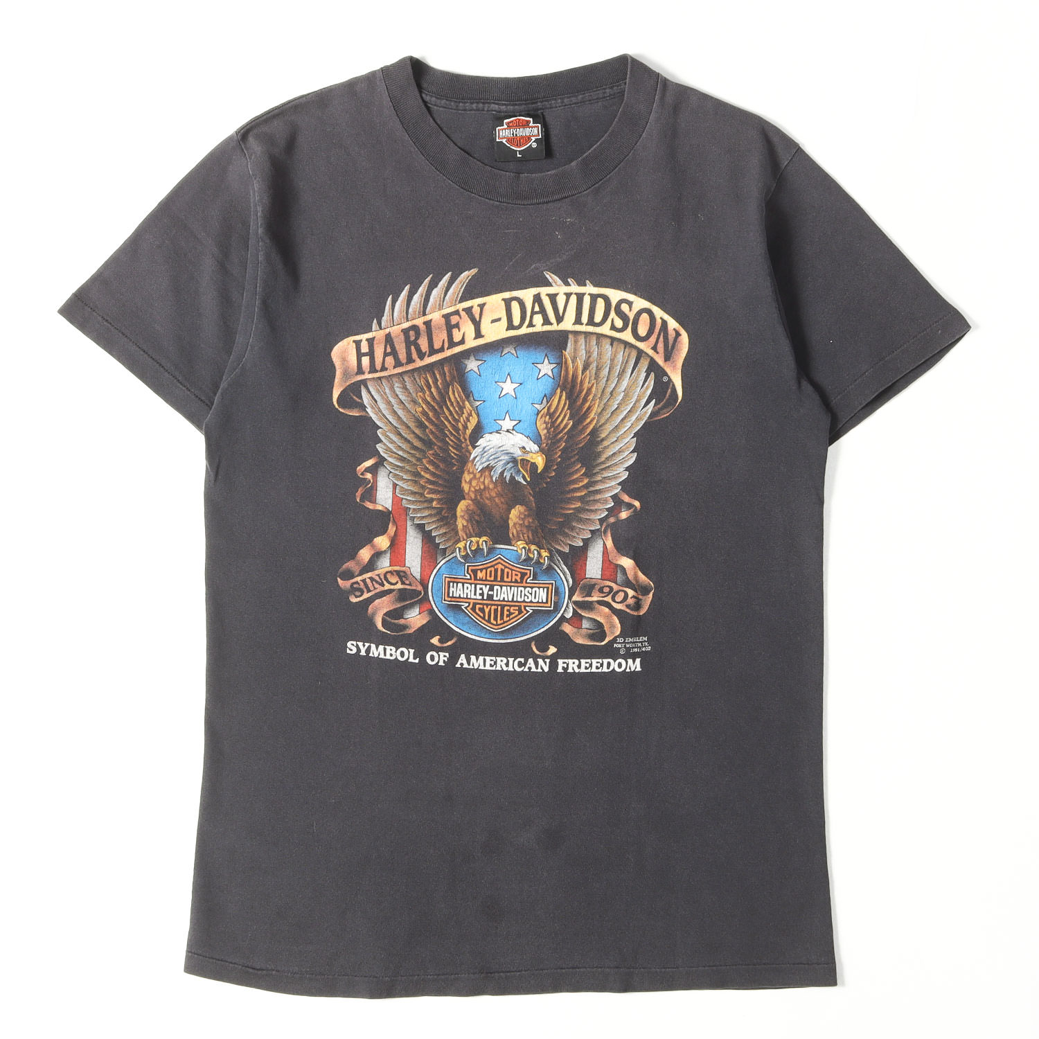 ☆希少デザイン☆ Harley-Davidson ビンテージTシャツ RARE True Vintage Harley Davidson on Hanes Tag Single Stitch T