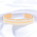 \今ならさらに+9倍/ ダニエルウェリントン DANIEL WELLINGTON バングル ブレスレット レディース DW00400067 CLASSIC SL...