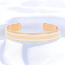 \今ならさらに+9倍/ ダニエルウェリントン DANIEL WELLINGTON バングル ブレスレット レディース DW00400069 CLASSIC SL...