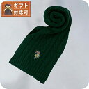 \今ならさらに+9倍/ ユーエスポロ アッスン U.S.POLO ASSN マフラー 447312-GREEN レディース メンズ グリーン マフラー