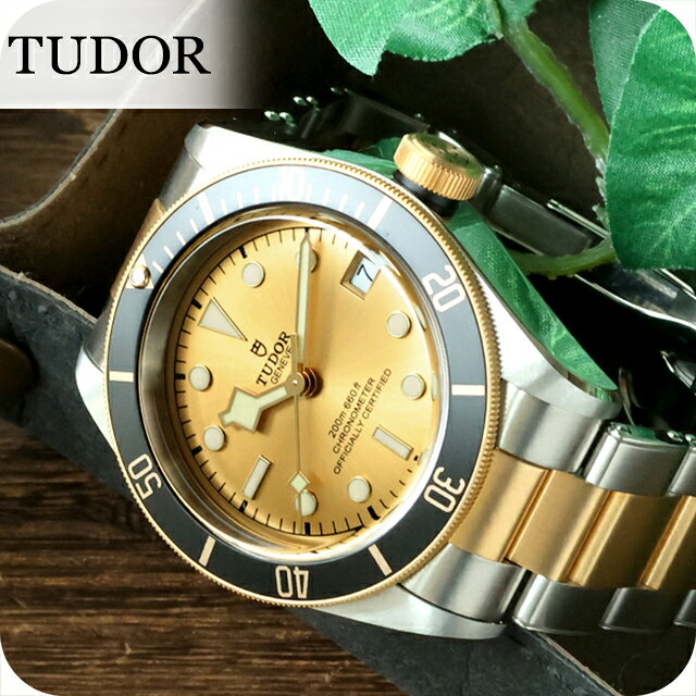 OMEGA - チューダー チュードル ブラックベイ S&G 自動巻き 腕時計 ブランド メンズ TUDOR M79733N-0004 アナログ ゴールド シルバー おしゃれ 防水 プレゼント 男性 実用的