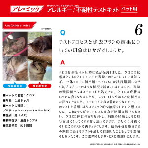 【372項目】アレルギー不耐性検査キットアレミッケ｜犬猫ペットアレルギー検査