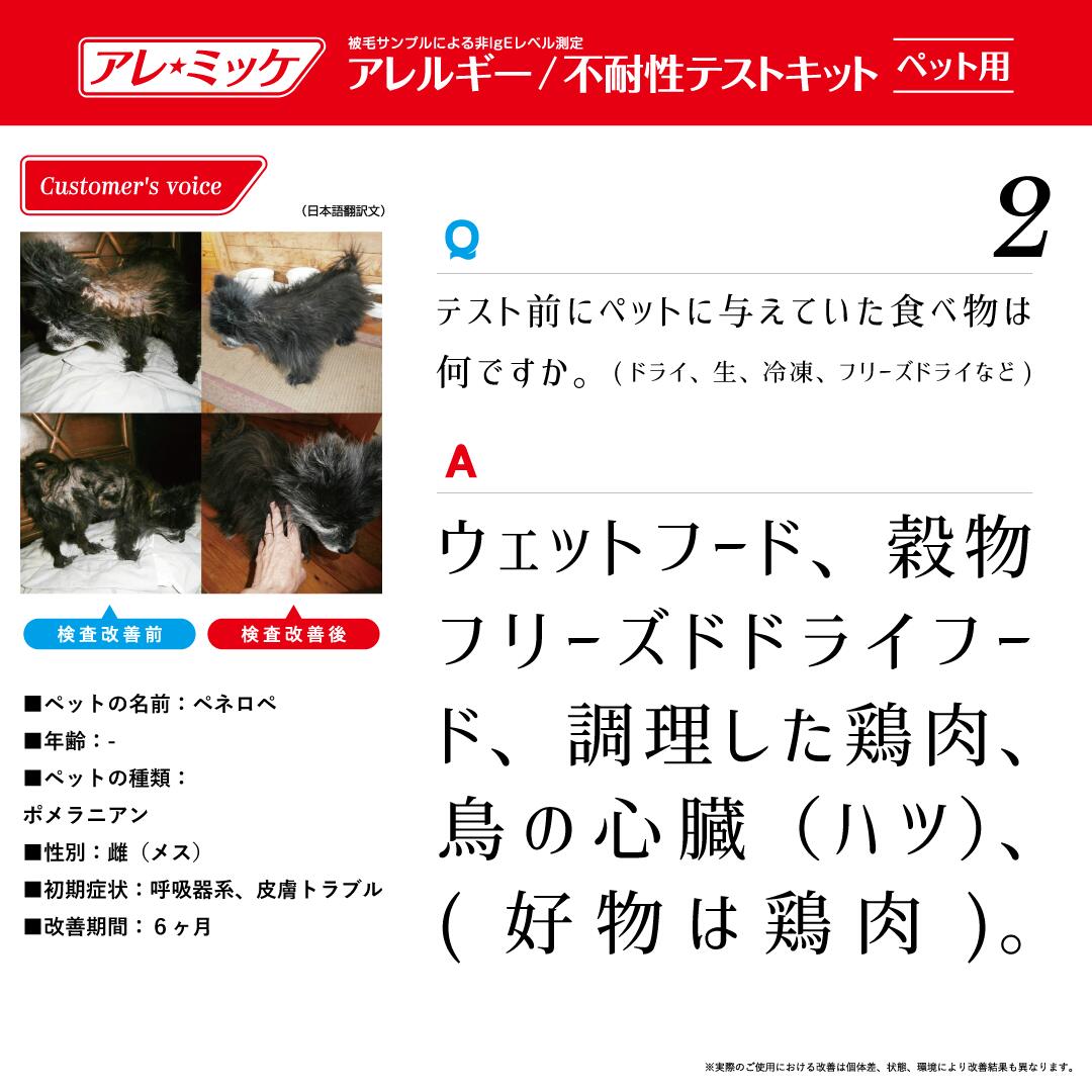 在庫限りセール 373項目 アレルギー過敏性検査キット アレミッケ 犬 猫 ペット アレルギー検査 公式 Agppackaging Com Py
