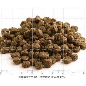 フィッシュ4ドッグスファイネストオーシャンホワイト【3kg】ドッグフード成犬白身魚ドライフード魚犬栄養自然