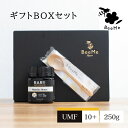 【ギフト】マヌカハニー UMF10+ 250g マヌカハニー専用スプーンギフトセット レアニュージーランド ニュージーランド産 無添加 無農薬 蜂蜜 はちみつ ...