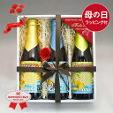 母の日ギフト ベルギービール330ml モンゴゾ3種+専用コースター飲み比べセット フルーツビール 無料メッセージ対応｜送料無料 あす楽発送