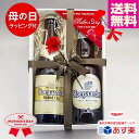 ★母の日ギフト★人気ベルギービール ヒューガルデン 330ml 2種2本 飲み比べ母の日ギフトセット クラフトビール ホワイトビール｜送料無料 あす楽発送