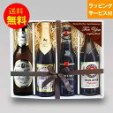 個性豊かな4種のドイツビール 当店で人気の高いドイツビール4種をオリジナルセットにしました。 ピルスナー・ヴァイツェン・シュバルツなど、様々なタイプをミックスしておりますので、ドイツビール好きの方にピッタリのプレゼントになること間違いなしです。 贈って喜ばれる贈答ギフトとしてぜひご利用下さい。 送付先が購入者様と異なる場合は、金額の記載のある納品書は一切同封いたしませんので、贈り物として安心してご利用いただけます。 このセットの内容 パウラーナー ヘフェヴァイス ドイツビールでは白ビールで、50％以上の小麦を原料にした良質な酵母入りです。 優しい酵母の甘味・白濁したクリーミーな泡・フルーティでまろやかな味わいです。 ビットブルガーピルス 厳選さえた大麦モルト、酵母、ホップを使用し、伝統的な長期低温醗酵で造られています。ドイツ国内のみならず、ヨーロッパを代表する正統派のピルスナーです。 リーゲレ プリヴァート 光沢のある黄金色に輝く外観で、モルトとホップの香りが絶妙のバランスで調和しています。ソフトな飲み口でホップの丸みを帯びた苦味が心地良いラガービールです。 ケストリッツァ・シュバルツビア ローストした大麦麦芽、極めて良質のホップを使用しており、クリーミーな泡とビターチョコを思わせるまろやかな苦味のある都会派のシュバルツ（黒）ビールです。 このギフトと一緒にオススメする商品 ギフト用手提げ袋（大） 先方に出向く際に便利な手提げ用袋です。 販売価格：￥100（税込） サラミソーセージ「ペパロニ」 ボリューム感満載のスパイシーサラミソーセージ。 販売価格：￥1,069（税込） 米沢牛ジャーキー」 芸術品とも言える山形牛の旨みを凝縮！ 販売価格：￥1,069（税込） 山形の干牛肉 安くてうまい！山形の定番アイテムのビーフジャーキー 販売価格：￥572（税込）