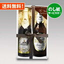 ★御中元ギフト★ クラフトビール 飲み比べ ドイツビール2種2本 330ml 飲み比べセットA|お中元のし無料対応 あす楽発送 送料無料!