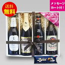 バレンタインデーギフト ドイツビール330ml 4種4本 飲み比べセットB メッセージカード付|あす楽発送 送料無料