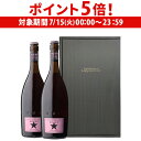 【7/15限定 P5倍】イネディット ロゼ ギフトBOX 750ml×2本 瓶送料無料 輸入ビール 海外ビールフルーツビール 苺 ストロベリー エルブジ スペイ...