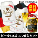 ビールおつまみセット ドイツNo.1ビール＆おつまみセットラーデベルガー 缶 330ml×6本ガーキンス ピクルス チリ入り 350g×1個送料無料輸入ビール 海外ビール 家飲み [オクトーバーフェスト][詰め合わせ][長S]