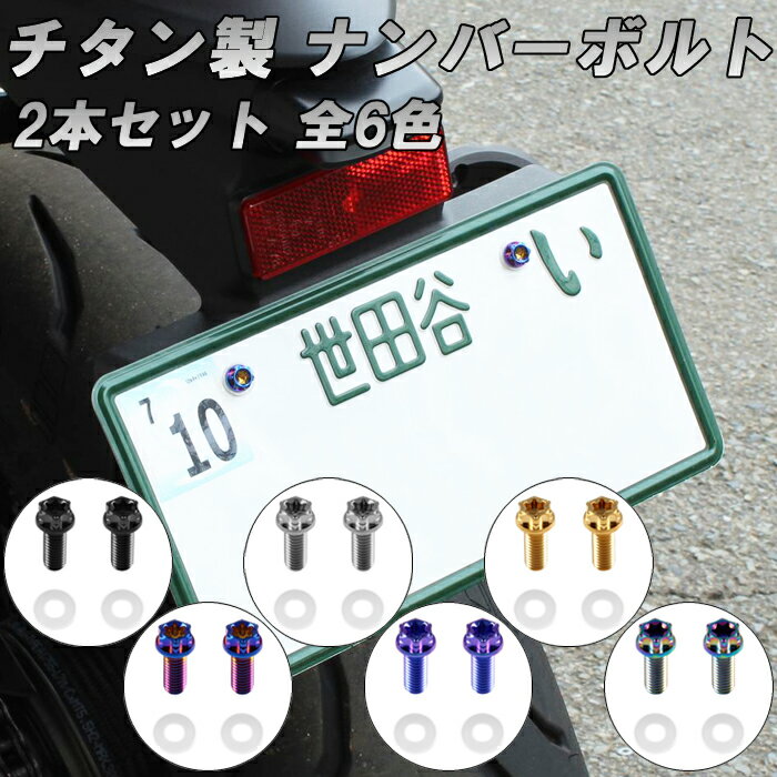 チタン ナンバーボルト 2本セット M6×15 バイク オートバイ 錆びない おしゃれ キャップ ワッシャー付き トルクス工具付き 盗難防止 ライセンス ボルト