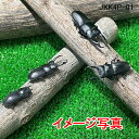 国内本土コクワガタ 成虫 オス 生体 計5頭 群馬県にて自然採集したものから人工的にブリードされた個体の混合。クワガタ 成虫 昆虫 生体 ペット