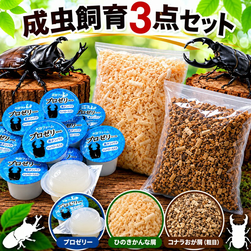 楽天市場】クワガタ福袋（昆虫｜ペット・ペットグッズ）の通販