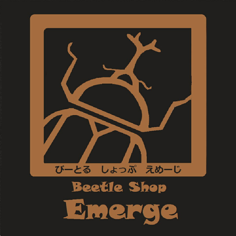 Shop icon