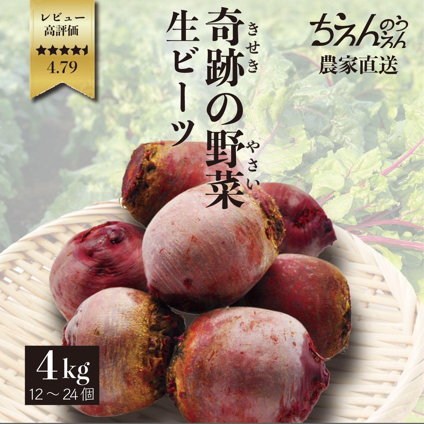 Ynr[c ̂ _ 4kg fresh beets beetroot _ސ쌧Y _ VN r[g[g Y m X[p[t[h HׂA beautye  healthyN r[c t_ IS H@ {V` sNX X[W[ H Mtg