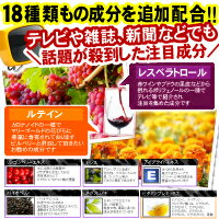 ビルベリー＆ルテイン　レスベラトロールプラス【お得な3個セット】 　【メール便送料無料】※代引・宅急便別途送料※