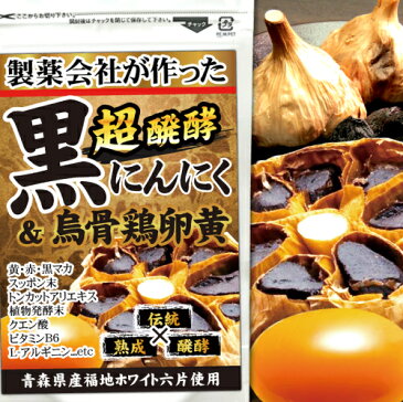 醗酵黒にんにくdeトライアル【メール便送料無料】代引き・宅配便別途送料