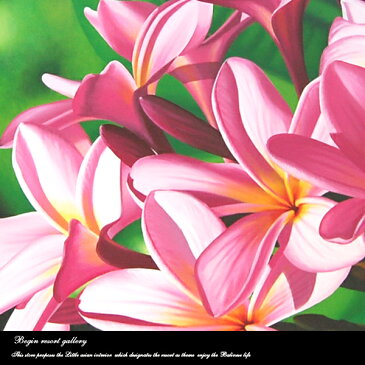 絵画 バリ絵画 アートフラワーka299g 花 額入り アクリル絵画 プルメリア フランジパニ リゾート絵画 アジアン絵画 アジアンアート パネルアート モダンアート アートフレーム壁掛け 壁飾り リゾート アジアン 送料無料