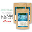 EC12乳酸菌 100億個 ラクトフェリン 菌活 高配合 約1ヶ月分×3個セット 9000億の EC12乳酸菌 乳酸菌 ビール酵母 ホエイプロテイン ビタミンB ヨーグルト 健康 サプリ サプリメント 予防 国内製造 日本製 サプリメントガーデン