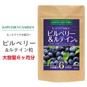 ビルベリー ルテイン サプリ 男性 女性 大容量 約6ヶ月分 アントシアニン 生換算90000mg 100倍濃縮 高配合 ブルーベリー カシス メグスリノキ アイブライト βカロテン サプリメント ブルーライト 国内製造 日本製 サプリメントガーデン