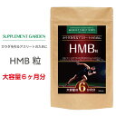 HMB BCAA アルギニン 高配合 大容量 約6ヶ月分 HMBカルシウム 36000mg BCAA Lカルニチン オルニチン グルタミン αリポ酸 コエンザイムQ10 ヒハツエキス 筋肉 筋力 筋トレ トレーニング サプリ サプリメント 国内製造 日本製 サプリメントガーデン