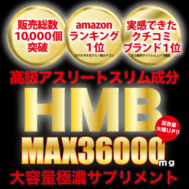 HMB BCAA アルギニン 高配合 大容量 約6ヶ月分 HMBカルシウム 36000mg BCAA Lカル...