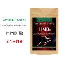 HMB BCAA アルギニン 高配合 約1ヶ月分