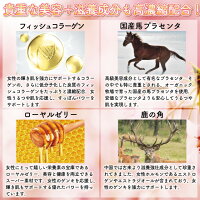 サプリメントガーデン高級すっぽん&コラーゲン粒大容量約6ヶ月分/360粒