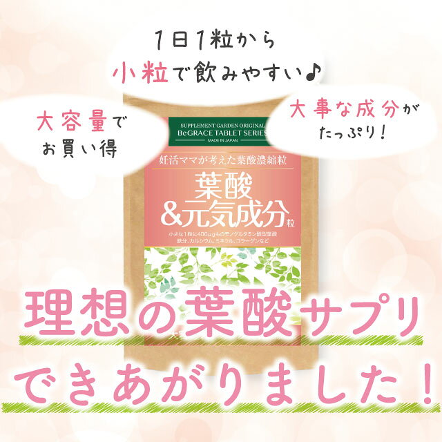葉酸 鉄分 鉄 妊活 高配合 大容量 約6ヶ月分×2袋セット ミネラル カルシウム ビタ...