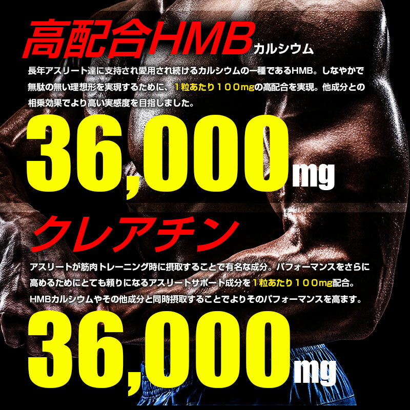 HMB クレアチン 高配合 大容量 約6ヶ月分 ダイエット 36000mg×36000mg HMBカルシウ...
