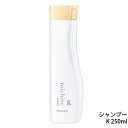 クオレ michite by AXI シャンプーK250ml　ミチテ　クオレ化粧品　サロン専売品　美容室　専売品　AXI　毛先が広がる/ツヤがない/うねる/ごわつく