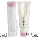 クオレ michite by AXI シャンプー A 250ml トリートメント A 200g セット ミチテ クオレ化粧品 美容室専売 サロン専売品 うねり ごわつき ツヤ不足 髪の絡まり サラサラ仕上げ