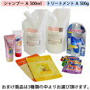 クオレ michite by AXI シャンプー A 500ml トリートメント A 500g 詰替え 選べるおまけ セット ミチテ クオレ化粧品 サロン専売品 美容室 専売品 AXI サラサラ 絡まりやすい ツヤがない うねる ごわつく