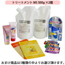 【ポイント3倍】クオレ michite by AXI トリートメント MS 500g 詰替え 2個 選べるおまけ付きセット 医薬部外品ミチテ クオレ化粧品 サロン専売品 美容室 専売品 フケが出やすい 脂が出やすい 炎症 頭皮がかゆい 20代 30代 40代 50代 60代 男性 女性 メンズ レディース