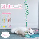 【2本セット】ぶらぶら 弾性ロープ おもちゃ ハンギング ドア 猫遊び用 おもちゃ 面白い ひとり遊び 自動スクラッチロープ ベルボール付き 運動不足防止 スト...