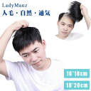 メンズウィッグ 部分ウィッグ 人毛100% ヘアピース トップカバー 自然 医療用 トップウィッグ ウィッグ ショート 部分 人毛 手植え 総手植え 薄毛 白髪隠し 円形脱毛 増毛 白髪 ソフィアン ピタット チェンジ フェザー ヘアピース かつら 脱毛 地肌ネット