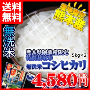 無洗米 10kg 送料無料 九州産熊本 阿蘇産 特別栽培米 コシヒカリ5kg×2個セット 送料込み
