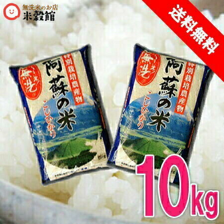無洗米 10kg 送料無料 九州産熊本県産 特別栽培米 コシヒカリ5kg×2個セット 送料込み