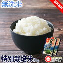 【令和5年産】無洗米 10kg 送料無料 九州産熊本県阿蘇産 特別栽培米 コシヒカリ5kg×2個セット 送料込み 1