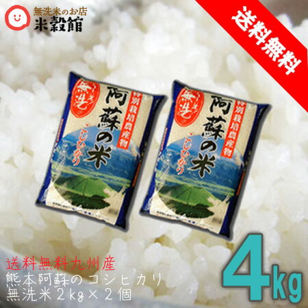 九州の無洗米 送料無料 4kg 熊本県産阿蘇こしひかり特別栽培米無洗米 2kg×2個...