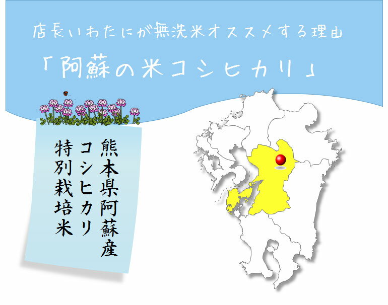 無洗米 10kg 送料無料 九州産熊本県阿蘇産 特別栽培米 コシヒカリ5kg×2個セット 送料込み