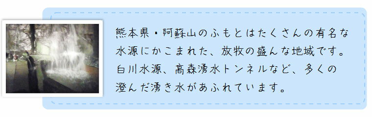 【九州・熊本・阿蘇】無洗米 九州産 米 10kg 送料無料熊本県阿蘇産こしひかり 10kg(5kg×2) 特別栽培米 コシヒカリ