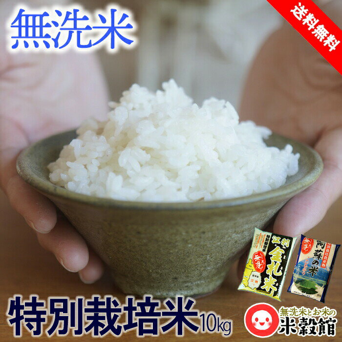 無洗米 10kg 熊本県産＆岩手県産食べくらべ 特別栽培米2種セット 当店無洗米 最強 セット 令和5年産