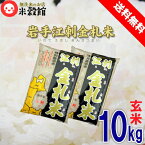 送料無料 10kg 玄米 江刺金札米岩手県産 5kg×2個セット令和5年産2023年産