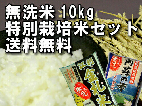 無洗米 10kg 九州＆東北 特別栽培米セット米 コシヒカリ ひとめぼれ 5kg×2 送料無料研がなくていいお米です 2
