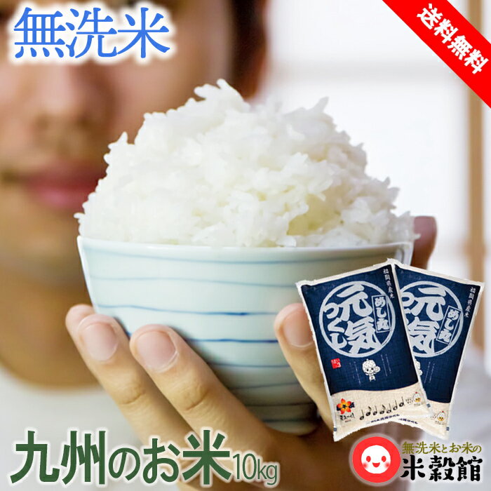 【令和5年産】米 10kg 無洗米10kg 九州 福岡県産「元気つくし」10キロ(5kg2個)九州産 無洗米 お米 金のめし丸2023年産