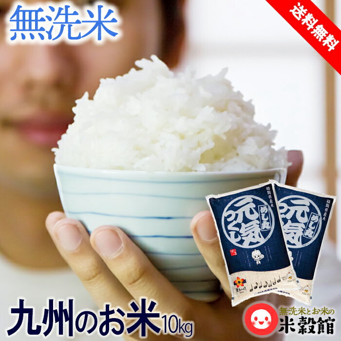 【令和5年産】米10kg 金のめし丸印 送料無料福岡県産「金のめし丸元気つくし」5キロ×2個九州 無洗米 めし丸 10キロ